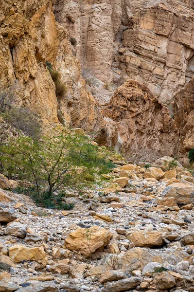 Ölü Deniz Yakınlarındaki Wadi Karak Rocky Geçidi Moab Platosu Ürdün — Stok fotoğraf