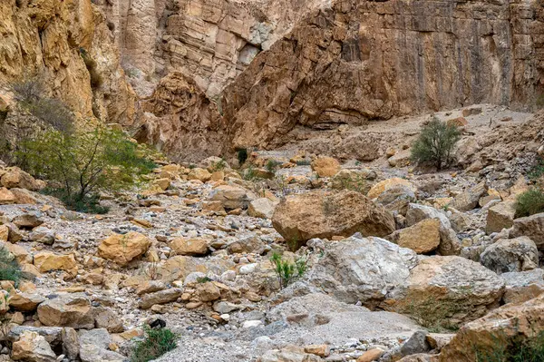 Ölü Deniz Yakınlarındaki Wadi Karak Rocky Geçidi Moab Platosu Ürdün — Stok fotoğraf