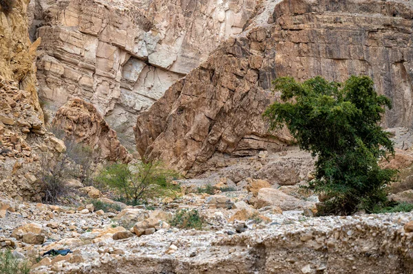 Скеляста Ущелина Ваді Карак Біля Мертвого Моря Моав Плато Йорданія — стокове фото