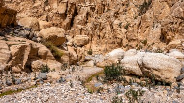 Wadi Ghuweir Kanyonu manzarası, Ürdün.