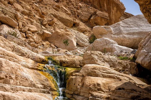 Wadi Ghuweir Kanyonu Manzarası Ürdün — Stok fotoğraf