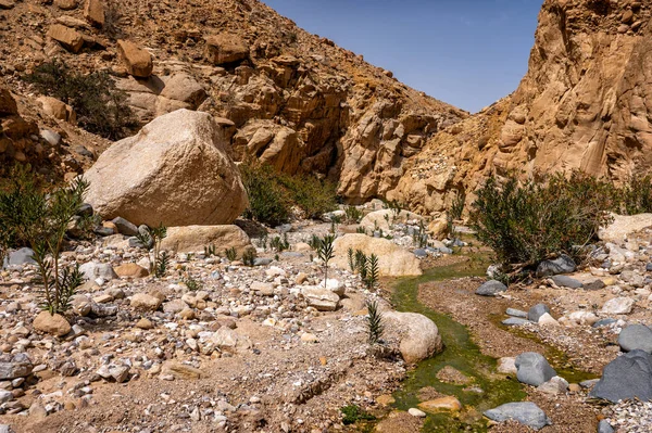 Wadi Ghuweir Kanyonu Manzarası Ürdün — Stok fotoğraf