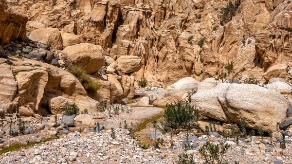 Ландшафт Каньйону Ваді Гувейр Йорданія — стокове фото