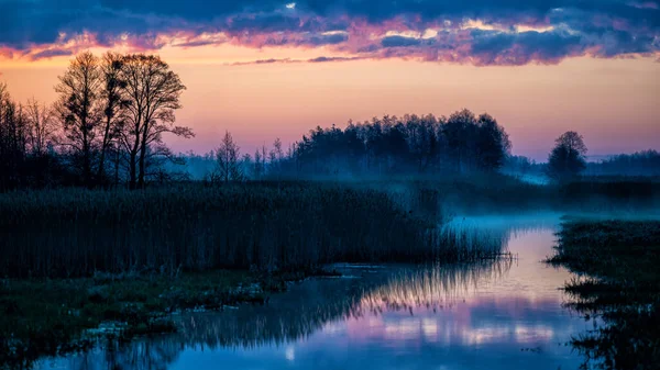 Alba Sulle Zone Umide Canale Lasica Parco Nazionale Kampinos Polonia — Foto Stock