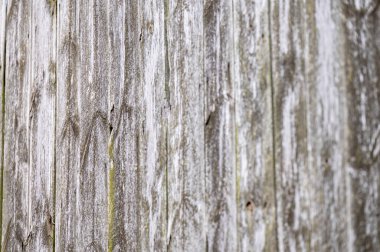 eski panoları kadar kapatın.