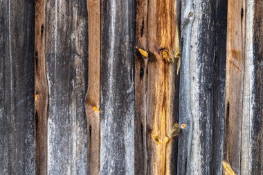 eski panoları kadar kapatın.