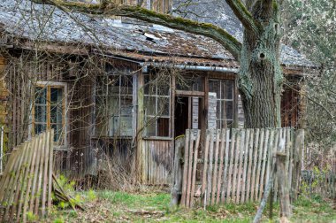 Terk edilmiş ahşap ev. Kampinos Ulusal Parkı, Mazovia, Polonya.