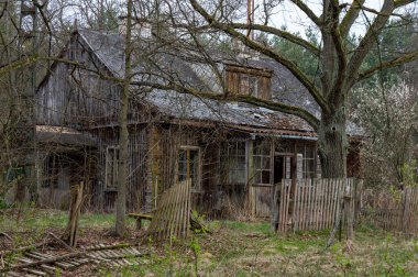Terk edilmiş ahşap ev. Kampinos Ulusal Parkı, Mazovia, Polonya.