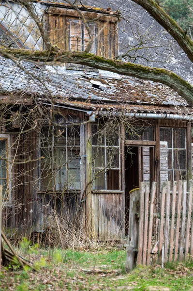 Terk edilmiş ahşap ev. Kampinos Ulusal Parkı, Mazovia, Polonya.