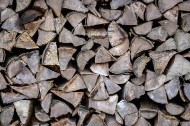 Kıştan önce kuruyan bir odun yığını.