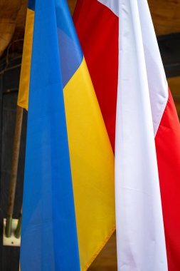 Polonya ve Ukrayna 'nın bayrağı, Rus saldırısına karşı bir sembol olarak el sallıyor..