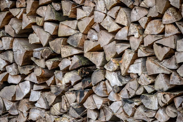 Pile Firewood Drying Winter — Stockfoto