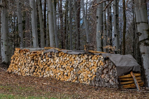 冬前の薪の山 — ストック写真