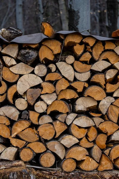 冬前の薪の山 — ストック写真