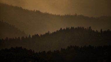 Dağlarda bulutlu hava. Pieniny, Slovakya.