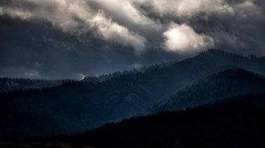 Dağlarda bulutlu hava. Pieniny, Slovakya.