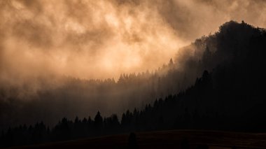 Dağlarda bulutlu hava. Pieniny, Slovakya.