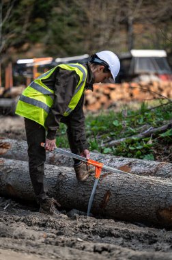 Orman işçisi olarak çalışan güzel bir kadın..