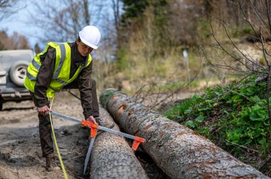 Orman işçisi olarak çalışan güzel bir kadın..