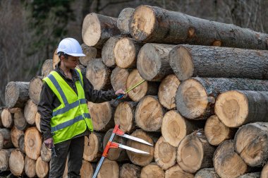 Pretty woman working as a forester.
