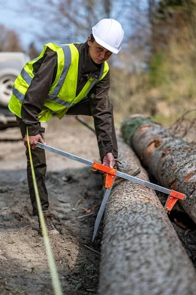 Orman işçisi olarak çalışan güzel bir kadın..