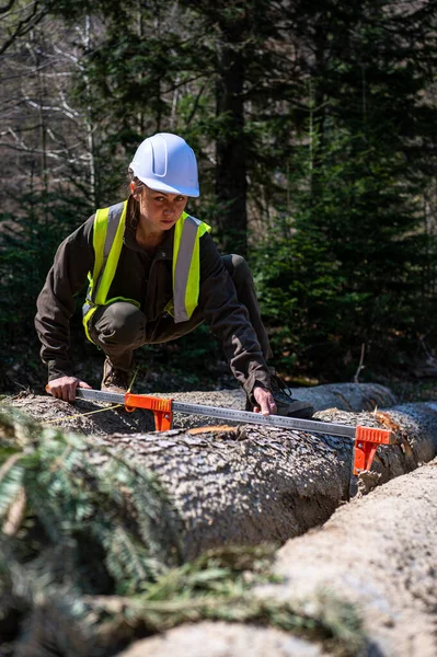 Orman işçisi olarak çalışan güzel bir kadın..