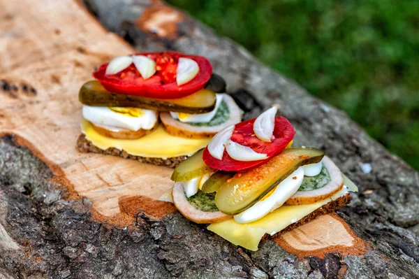 Delicious Healthy Sandwiches Vegetables Egg Cheese Meat — Fotografia de Stock