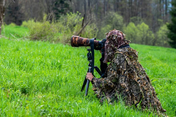 Female Nature Photographer Waiting Hidden Animal — Fotografia de Stock