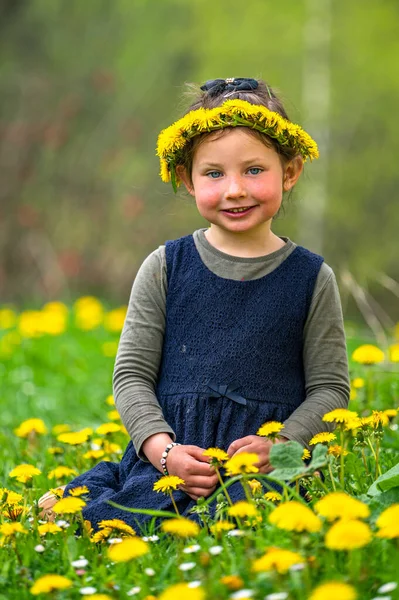 Portrait Smiling Girl Flower Crown Meadow —  Fotos de Stock