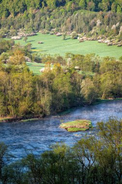 Baharın patlaması, doğa geçmişi. San River Vadisi, BIeszczady, Karpatlar, Polonya.