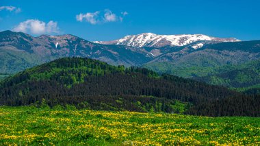 Renkli bahar dağ manzarası. Dumbier Dağı, Alçak Tatralar, Slovakya.