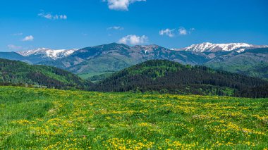 Renkli bahar dağ manzarası. Dumbier Dağı, Alçak Tatralar, Slovakya.