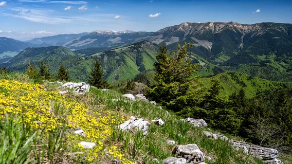 Barevná Jarní Horská Krajina Mount Velka Chochula Nízké Tatry Slovensko — Stock fotografie