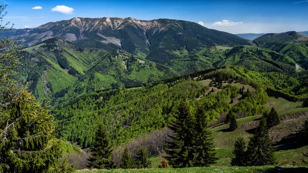 Kolorowy Wiosenny Krajobraz Górski Góra Velka Chochula Tatry Niskie Słowacja — Zdjęcie stockowe