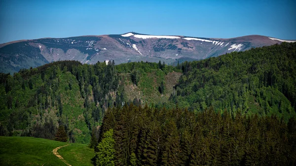 カラフルな春の山の風景 クリズナ山 ヴェルカ ファトラ スロバキア — ストック写真