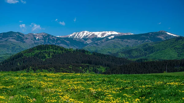 Kolorowy Wiosenny Krajobraz Górski Góra Dumbier Tatry Niskie Słowacja — Zdjęcie stockowe