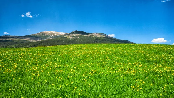 カラフルな春の山の風景 クラロヴァ山 ロータトラ スロバキア — ストック写真