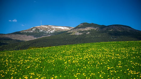 Barevná Jarní Horská Krajina Mount Kralova Hola Nízké Tatry Slovensko — Stock fotografie