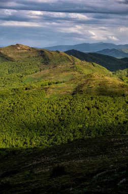 Bahar dağı manzarası. Bieszczady Dağları. Polonya. Polonina Bukowska.