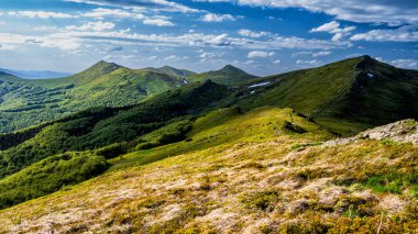 Bahar dağı manzarası. Bieszczady Dağları. Polonya.