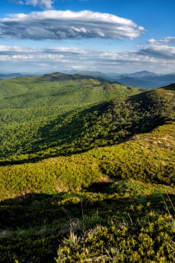 Bahar dağı manzarası. Bieszczady Dağları. Polonya ile Ukrayna arasındaki doğal sınır.