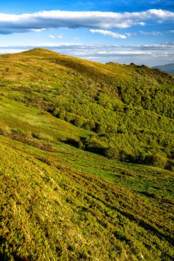 Bahar dağı manzarası. Bieszczady Dağları. Polonya.