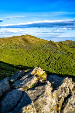 Bahar dağı manzarası. Bieszczady Dağları. Polonya.