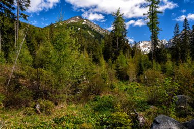 Slovakya 'daki Popradske Pleso yakınlarında Tatra Ulusal Parkı.