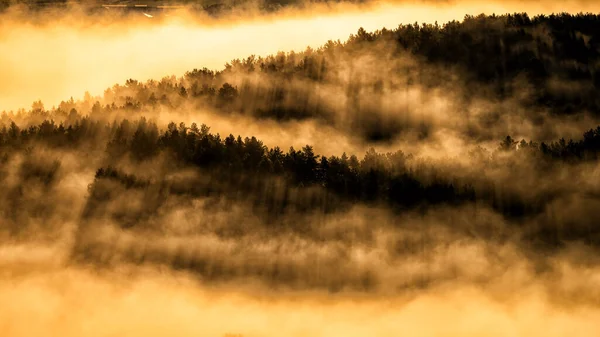 Ein Nebliger Wald Bei Sonnenaufgang Branisko Gebirge Zips Slowakei — Stockfoto