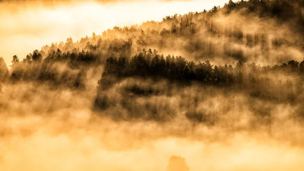Ein Nebliger Wald Bei Sonnenaufgang Branisko Gebirge Zips Slowakei — Stockfoto