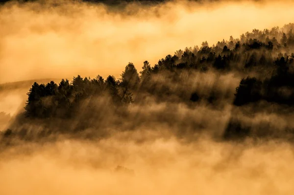 Foggy Forest Sunrise Branisko Mountains Spis Slovakia — Stock Photo, Image