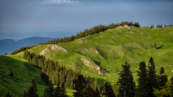 Góry Rarau Karpaty Wschodnie Rumunia — Zdjęcie stockowe