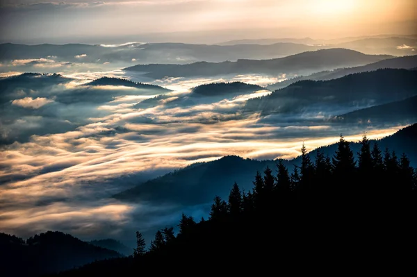 Nascer Sol Nas Montanhas Rarau Cárpatos Orientais Roménia — Fotografia de Stock