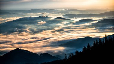 Rarau dağlarında gün doğumu, Doğu Karpatlar, Romanya.